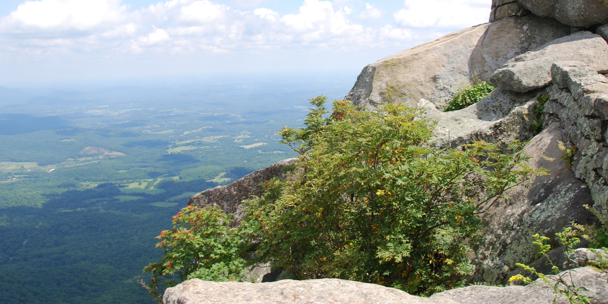 Roanoke-Blacksburg Region
