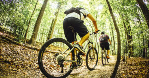mountain bikes